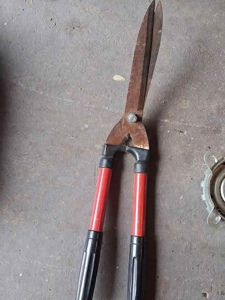Photo of free Hedge trimmers (131 Wesley Avenue) #1
