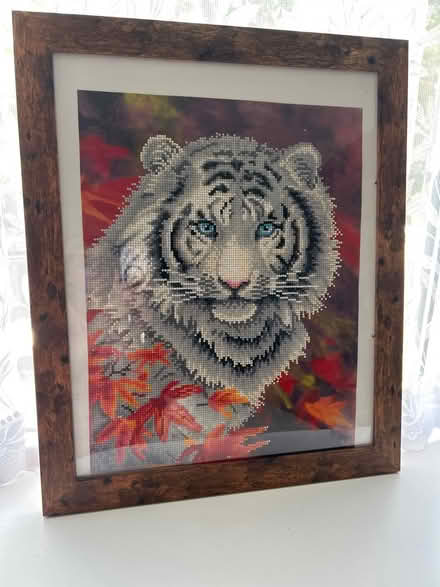 Photo of free Tiger (TN16) #1