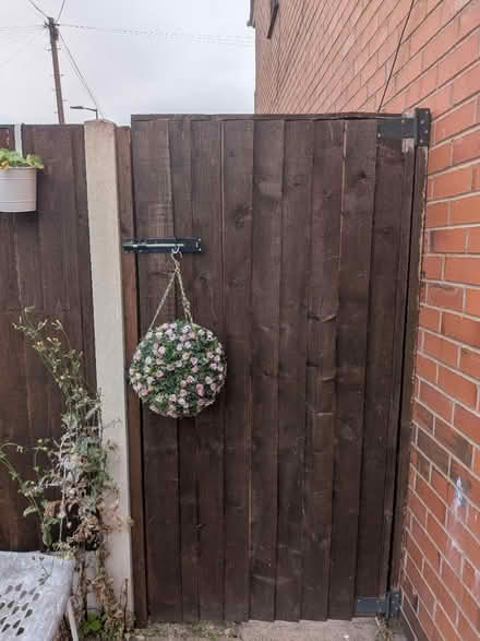Photo of free Fake hanging plant orb (Chester Road M15) #2