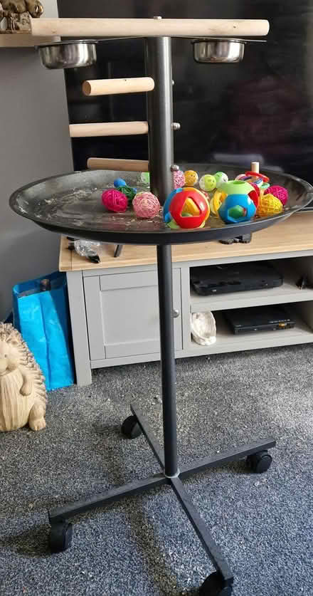 Photo of free Bird play stand (Snettisham) #1