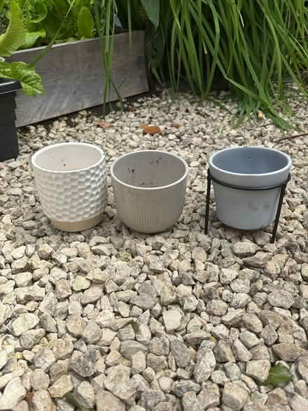 Photo of free Small indoor pot plants (Southwater) #1