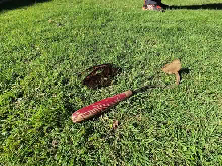 Photo of free onion hoe (Letchworth town centre) #1