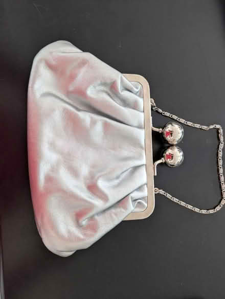 Photo of free Evening purses (Merivale Garden) #2
