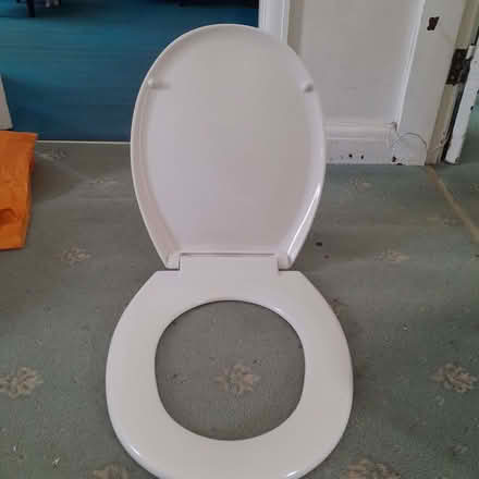 Photo of free Toilet seat (East Pit CB1) #1
