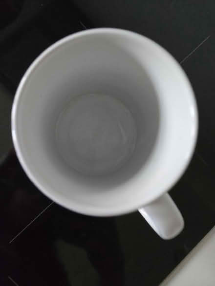 Photo of free Venice Cat Souvenir Mug (Rathcoole, Co. Dublin) #4