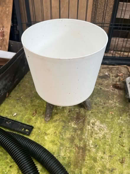 Photo of free More pots (Southborough) #1