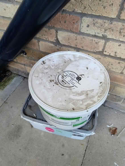 Photo of free Almost full silk white emulsion (M33 sale) #3