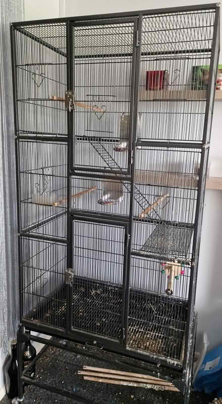 Photo of free Large Bird cage (Snettisham) #1