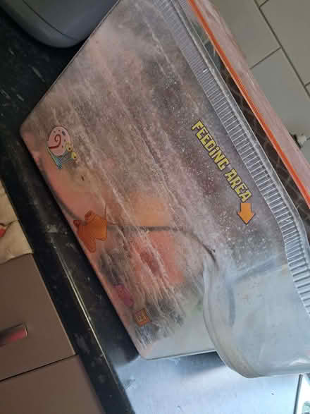 Photo of free Sponge bob Beginners fish tank (Norcot RG30) #1