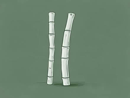 Photo of Bamboo sticks (Hoddesdon EN11) #1