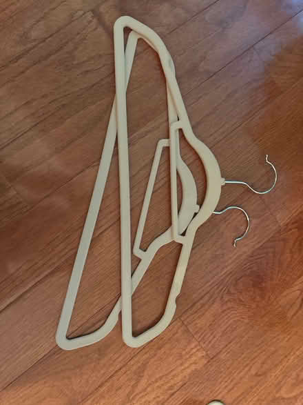 Photo of free Flocked Velvet Hangers Beige (Langhorne, PA) #1