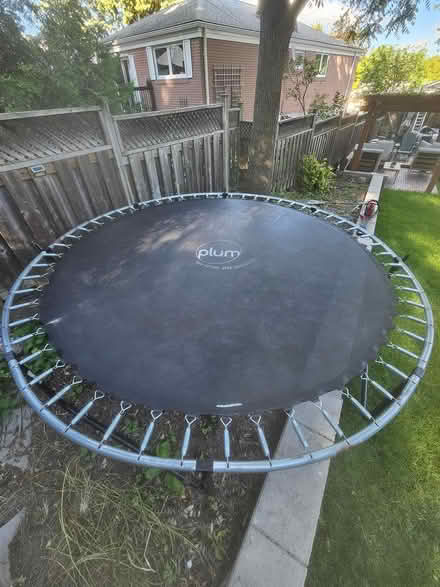 Photo of free Trampoline (Guildwood) #1