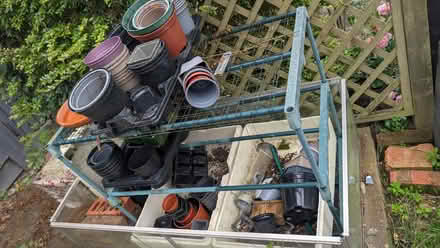 Photo of free Plastic plant pots (Ampthill MK45) #1