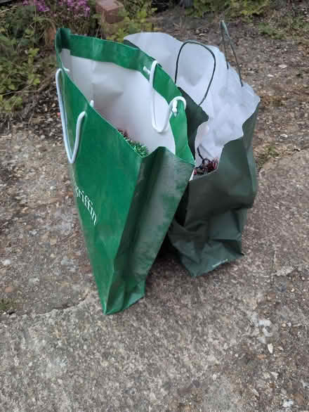 Photo of free Christmas lights, decorations (Saint George's CO2) #3