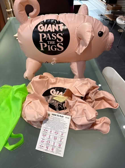 Photo of free Giant Pass The Pigs Game (Wimbledon Common SW19) #1