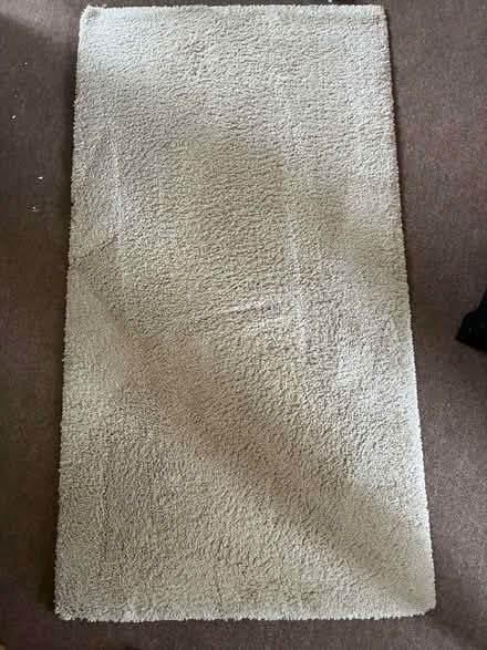Photo of free Natural Colour Rug (Barnard's Green WR14) #1