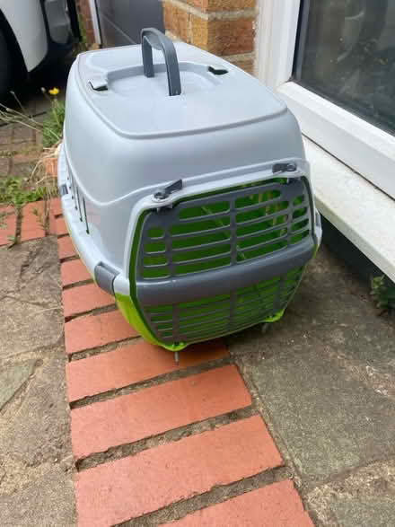 Photo of free Animal (cat) carrier (Harpenden AL5) #1