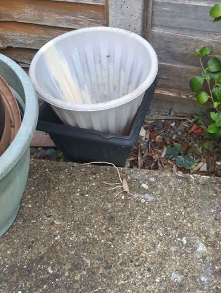 Photo of free Various sizes used garden plants pots (Enfield EN3) #3