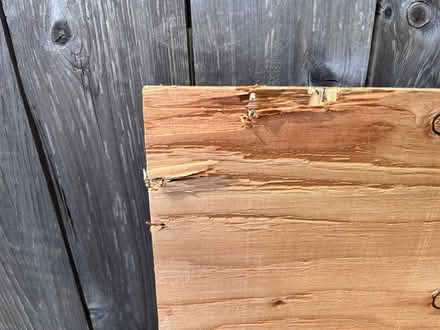Photo of free Sheet of plywood (Port land) #1