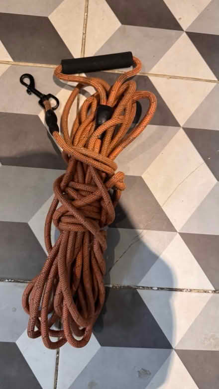 Photo of free 10m long dog lead (CR2) #1