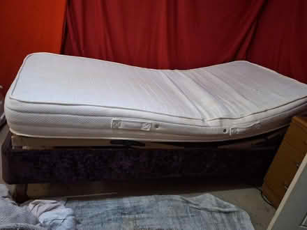 Photo of free Plum single bed is any interest? (SG64YQ) #1