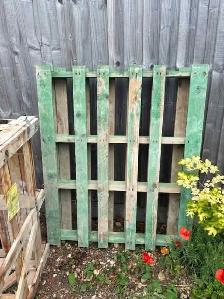 Photo of free Wooden pallet (BA2) #1