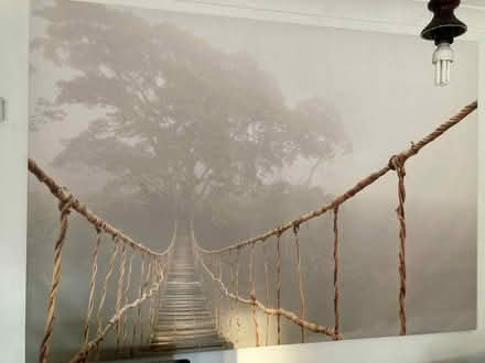 Photo of free Large wall canvas (Higher Walton Preston PR5) #1