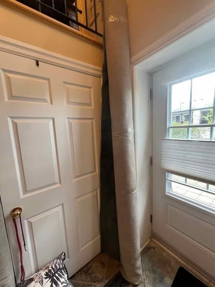 Photo of free Area rug (Downtown area) #1
