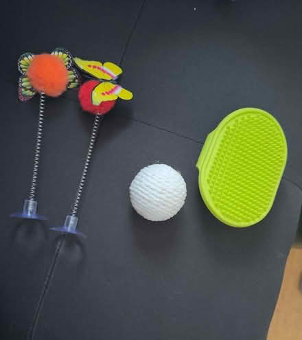 Photo of free Cat toys (Colchester CO1) #1