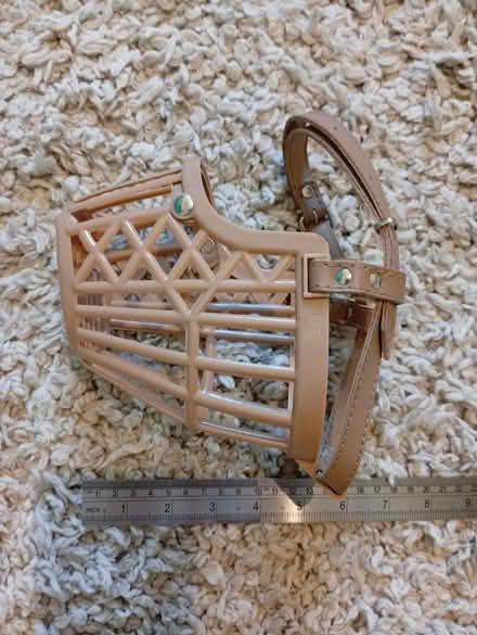 Photo of free Dog muzzle, basket style, medium (Buxworth SK23) #2