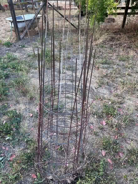 Photo of free Tomato cages (Gilroy Northwest - Rural) #1