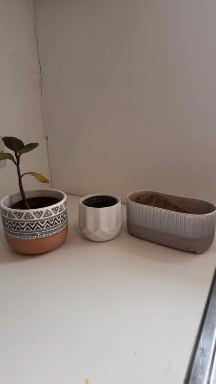 Photo of free Plant pots (CR2) #1