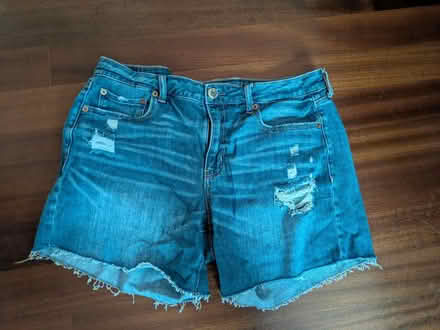 Photo of free Women's XL clothing (Mt. View/Los Altos/Sunnyvale) #1