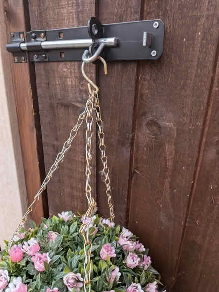 Photo of free Fake hanging plant orb (Chester Road M15) #3