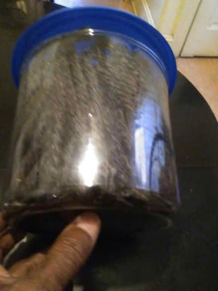 Photo of free Black licorce Twists (60th cedar ave 19143) #2