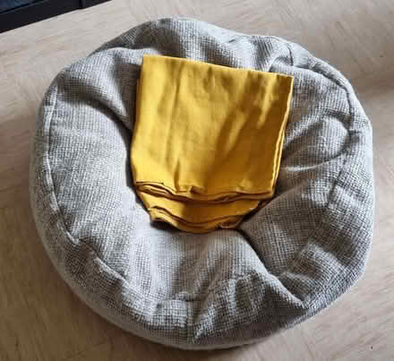Photo of free Bean bag and 2x Cushion covers (Thamesmead SE28) #1