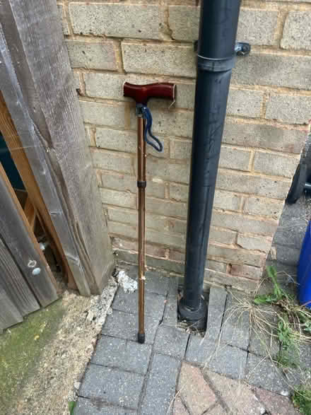 Photo of free Walking stick (Southborough) #1