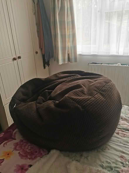 Photo of free Large beanbag and small freezer (Hartley wintney RG27) #2