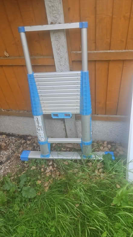 Photo of free Extending Ladder (Walthamstow North E17) #1