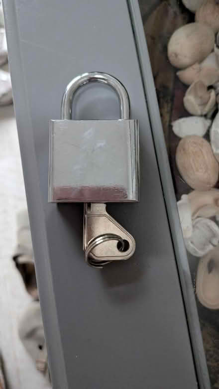 Photo of free Padlock with key (RG24 Old Basing) #1