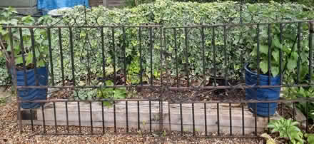 Photo of free Wrought-iron gates (pair) (Abingdon-on-Thames OX14) #1