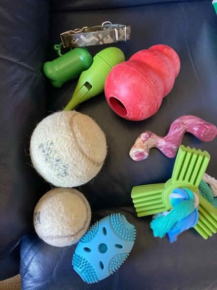 Photo of free Assorted large dog toys (Sunnyvale near Ortega Park) #1