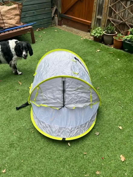 Photo of free Baby mosquito net (Hoxton) #1