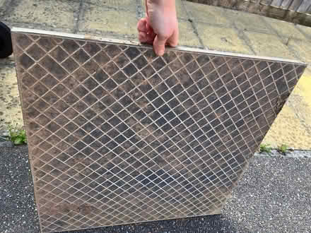 Photo of free Blue Slate tiles (outdoor) x2 (Gallows Bridge EX1) #2
