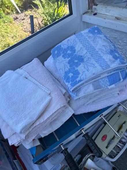 Photo of free Towels (Dolwyd LL31) #1