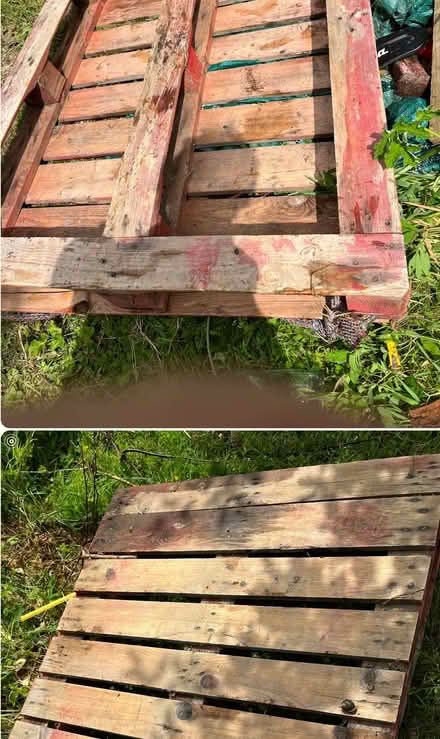Photo of wooden palettes any condition (Mainstone SY9) #1