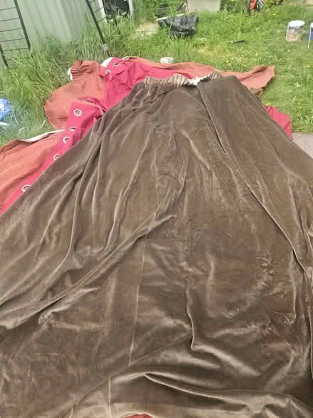 Photo of free Curtains (Walthamstow North E17) #2
