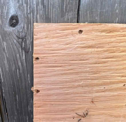 Photo of free Sheet of plywood (Port land) #3