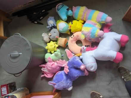 Photo of free Plush Soft Toys & Storage Bin (CT1) #1