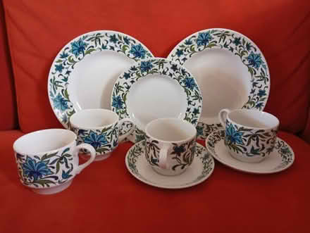Photo of free Midwinter Spanish Garden items (Buxworth SK23) #1